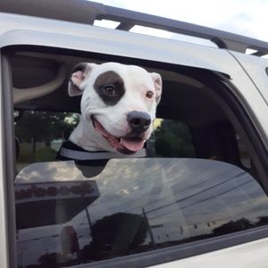 Meet your Posher, Teresa